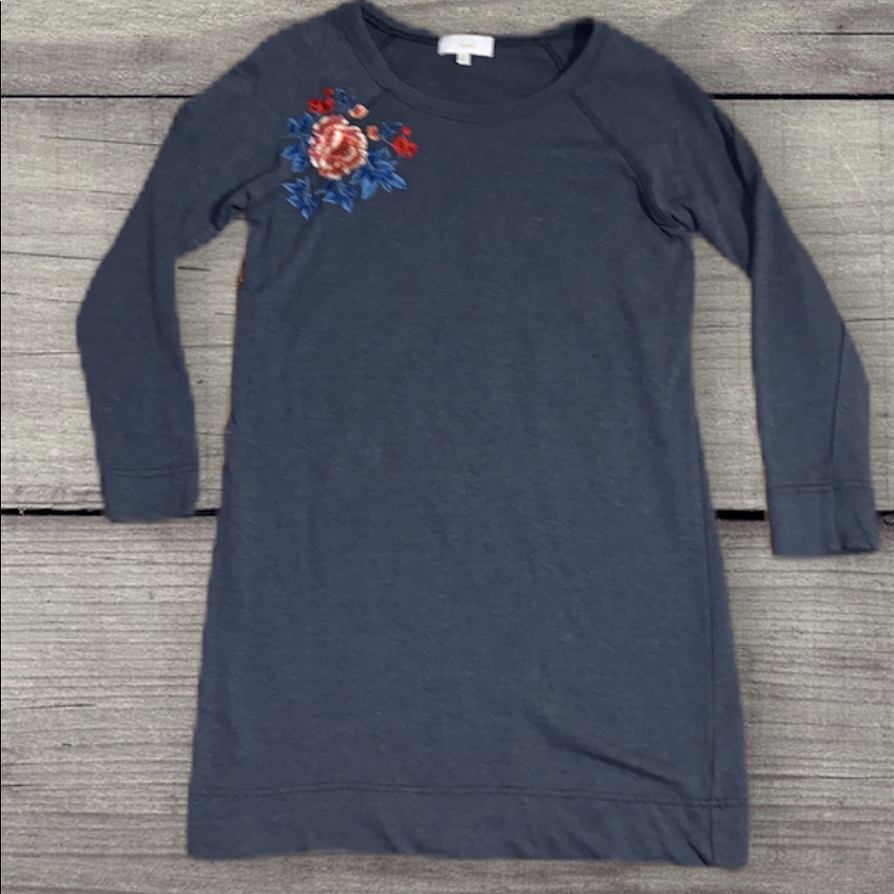 Evereve Braeve Sweatshirt Dress